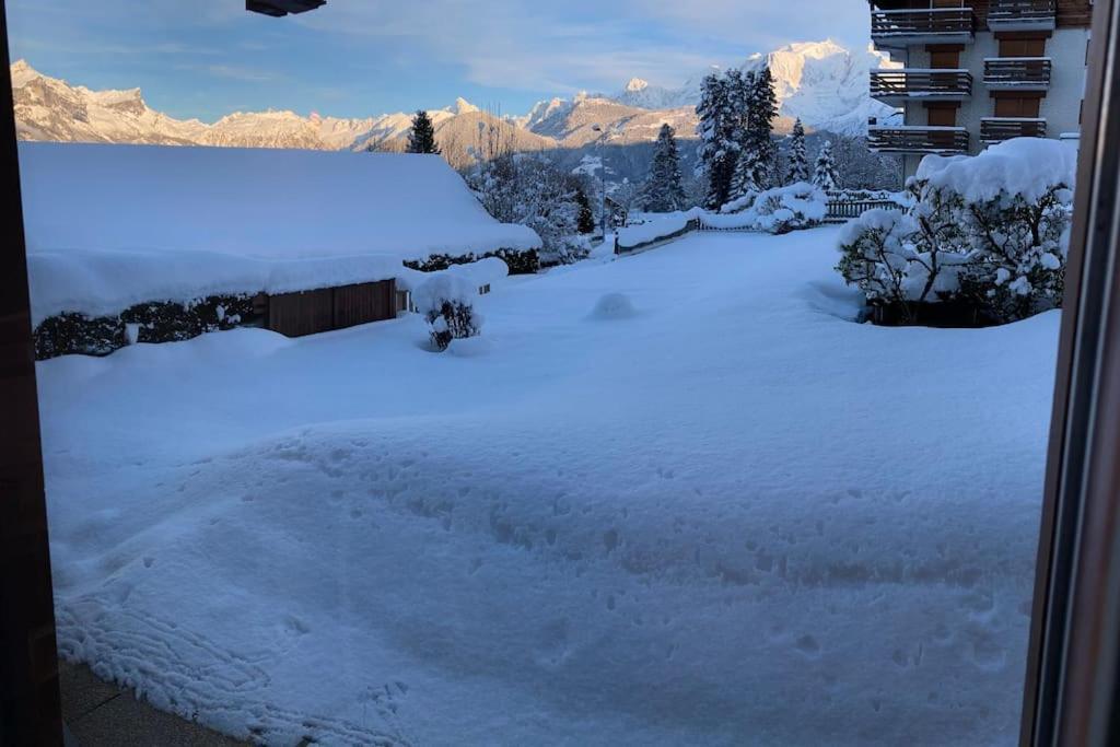 Апартаменты La Marmotte: Vue Mont Blanc, Terrasse, Parking Комблу Экстерьер фото